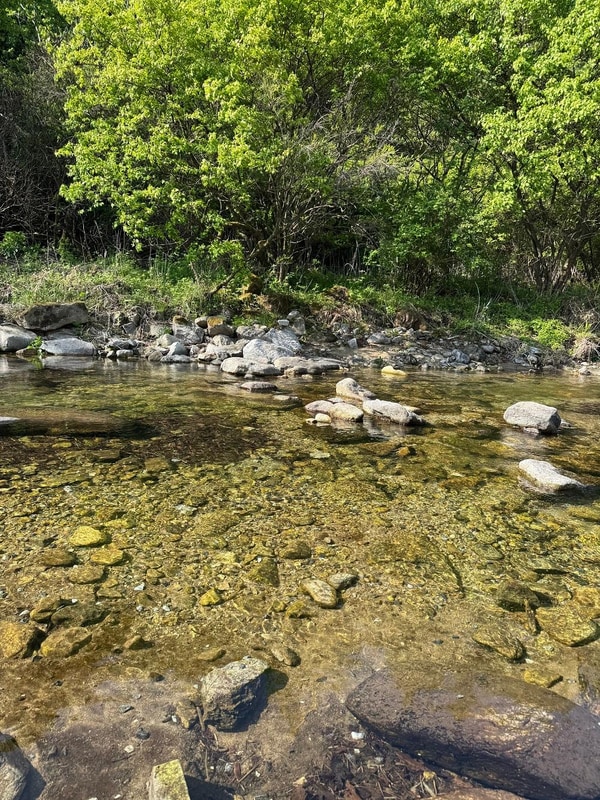 포레스트리 캠핑장 시설 사진 18