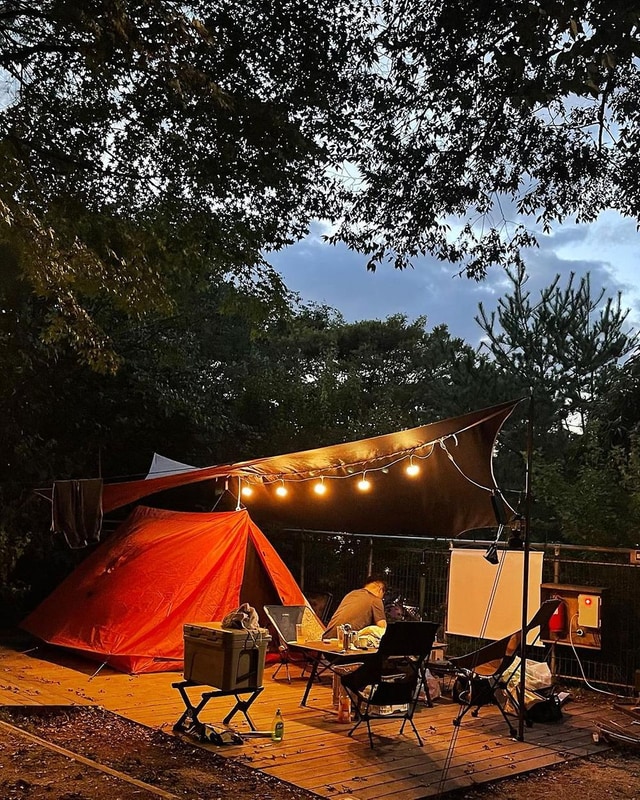 반달곰이 살던 숲 시설 사진 3