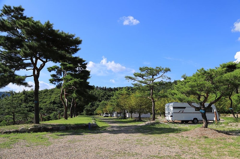 숲속의야영장 시설 사진 10