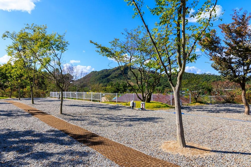 노을숲캠핑장 시설 사진 7