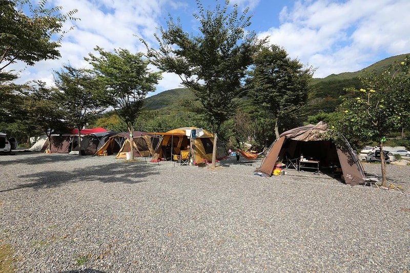 반딧불이 캠핑장 시설 사진 9