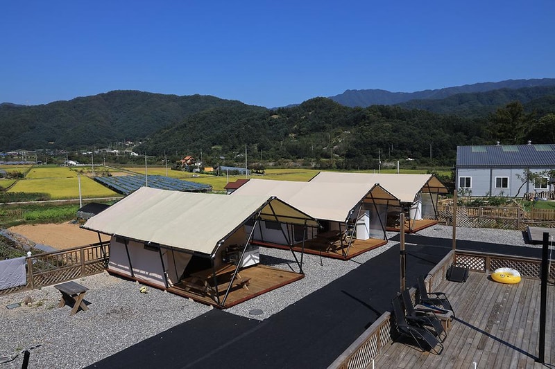 가평 댕댕이 애견 글램핑 앤 펜션 시설 사진 2