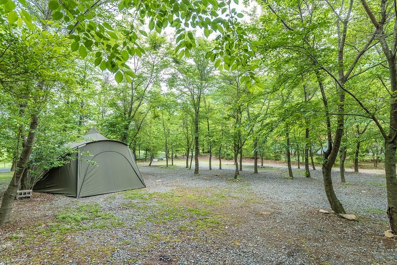 노꼬담꼬 시설 사진 4