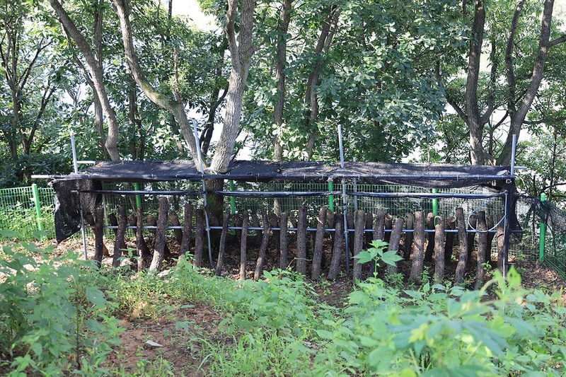 연천 당포성 캠핑장 시설 사진 6