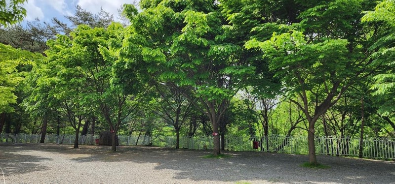 요기는캠핑장 시설 사진 16