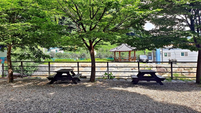 단양 남천 야영장 시설 사진 18