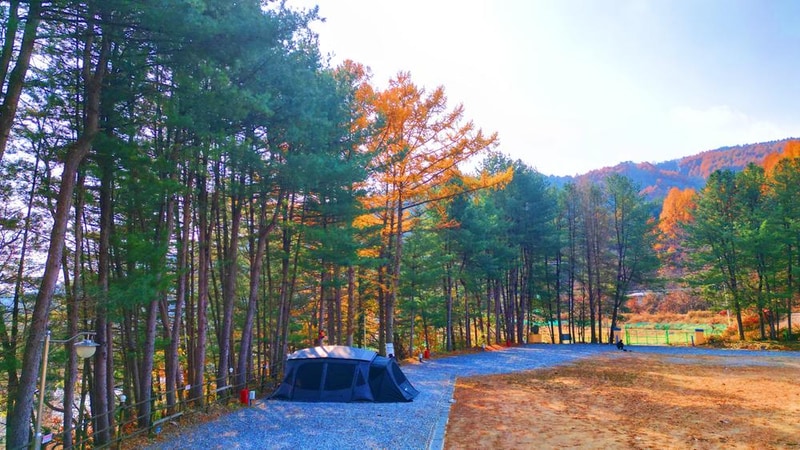 어게인 스쿨 시설 사진 18