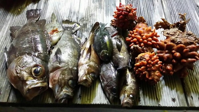 (주)청보리 시설 사진 4