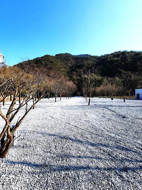 솔내음캠핑장 대표 사진