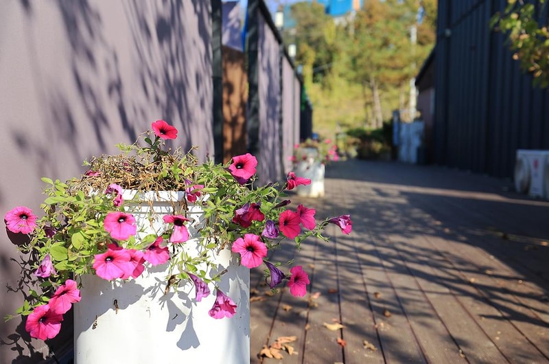 라구나캠프 시설 사진 1