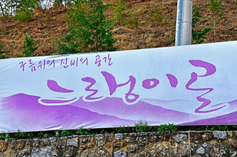 느랭이골 자연휴양림 일반야영장 시설 사진 14