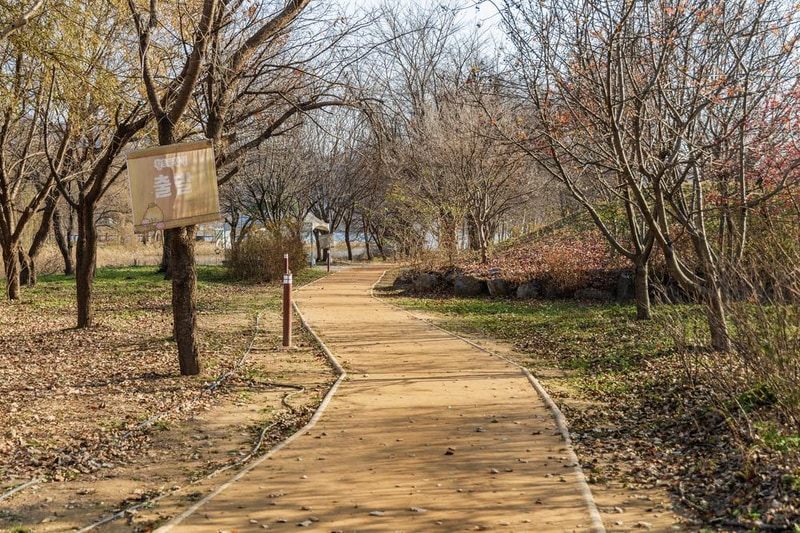 자라섬 캠핑장 시설 사진 64