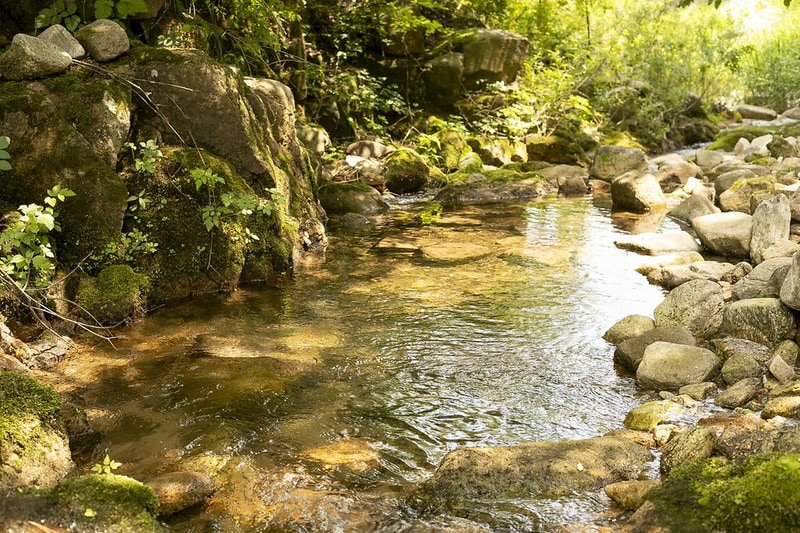 우리두리글램핑장 시설 사진 18