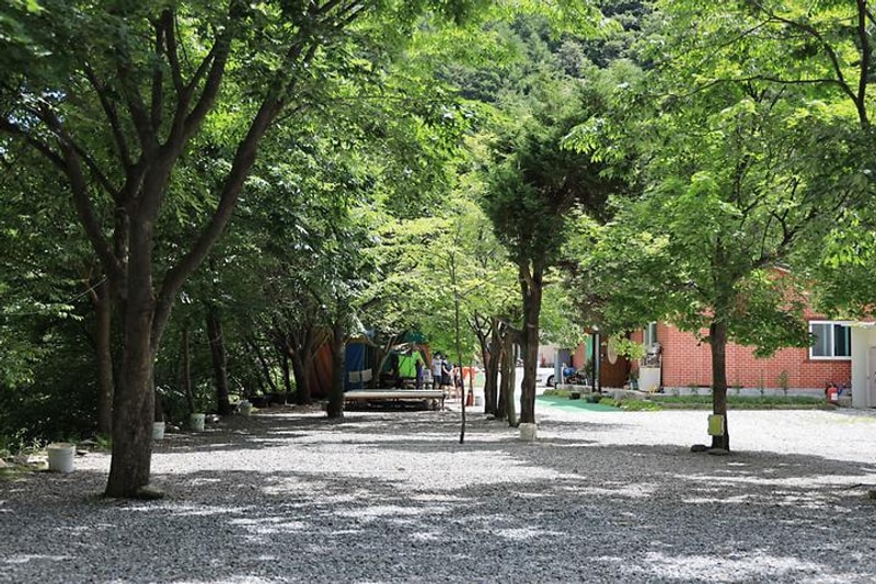 철이네캠핑장 대표 사진