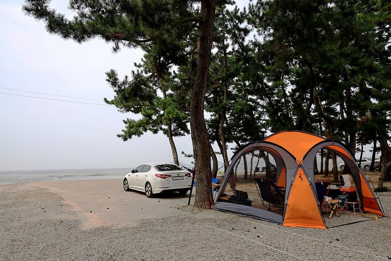 대부도나라캠핑장 시설 사진 6