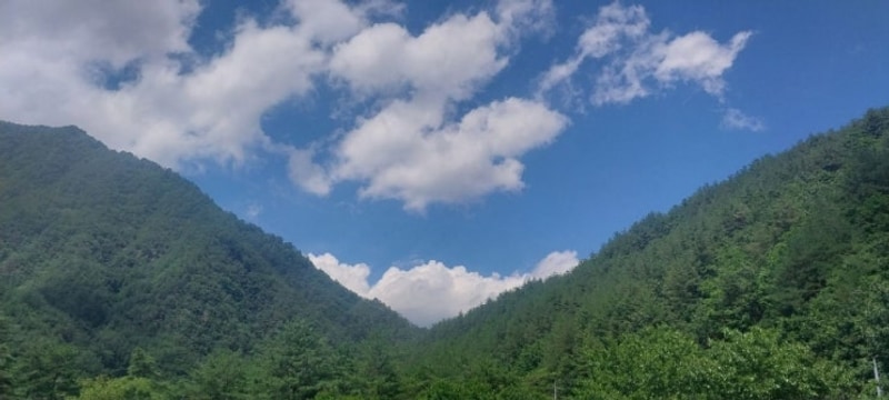 별빛야영장