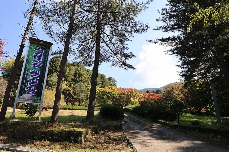 (주)구들택 겨울숲 지점 시설 사진 10