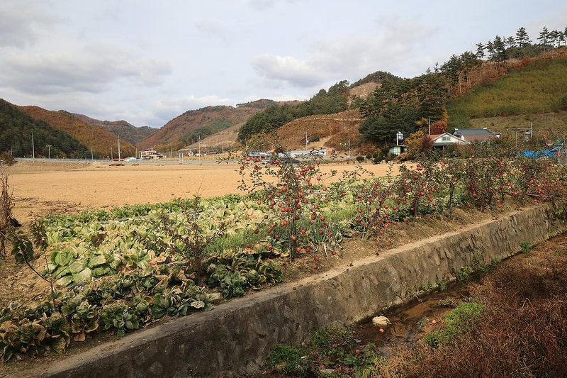 솔미캠핑장 시설 사진 10