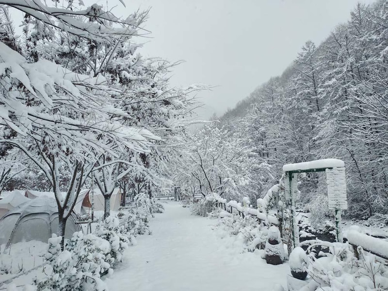 횡성산울림오토캠핑장 시설 사진 6