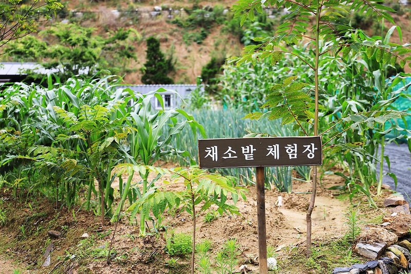 오션포레글램핑 시설 사진 18