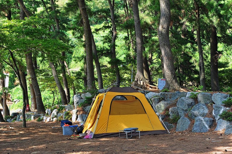 사촌해수욕장야영장 시설 사진 7