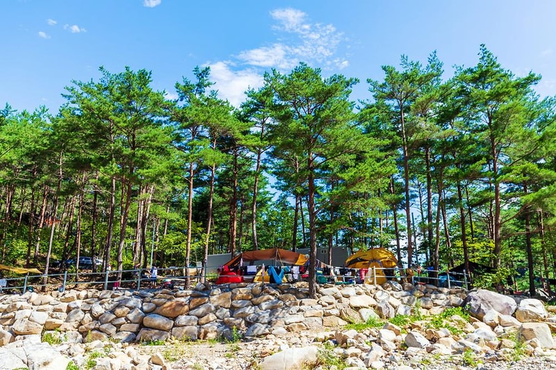 왕피천 숲속 캠핑장 시설 사진 17