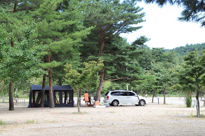 삼척엘림캠핑장 시설 사진 19