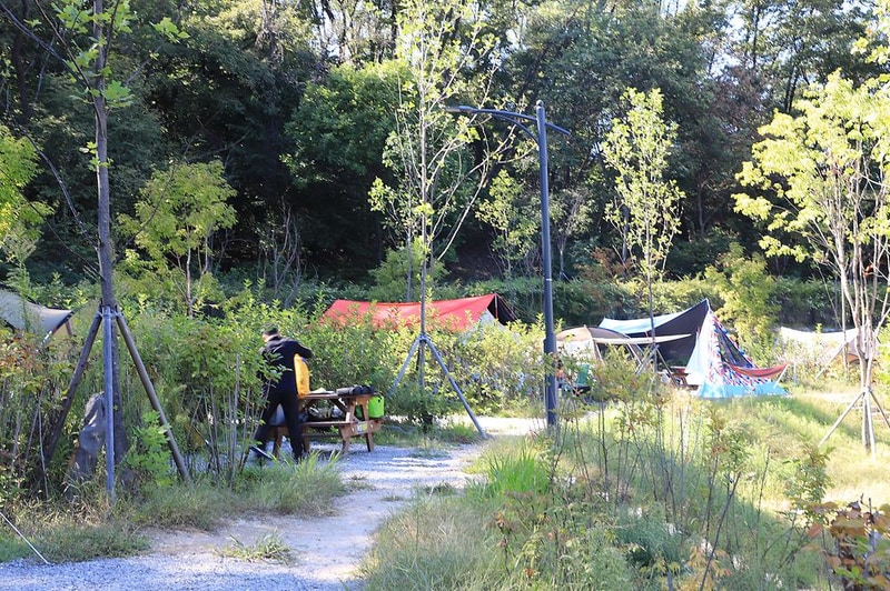 초안산캠핑장 시설 사진 14