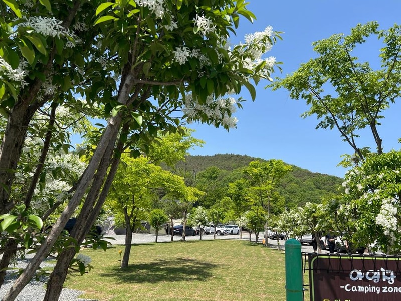 빨래터캠핑장 시설 사진 4