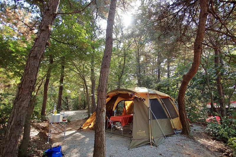 호수산장관광농원 대표 사진