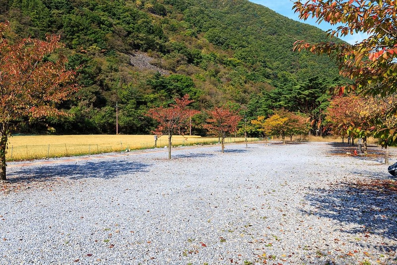 월악산억수솔밭캠핑장 시설 사진 11