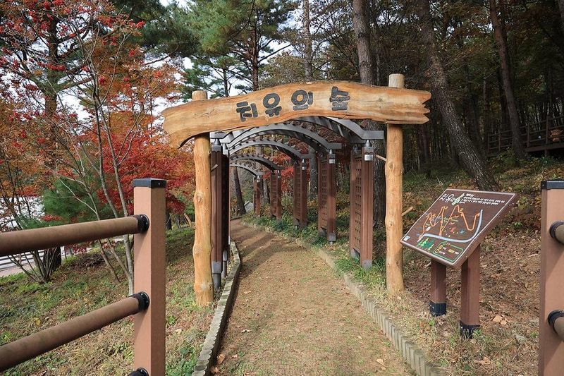 숲속야영장 시설 사진 8