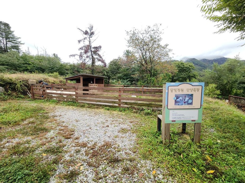 달빛정원글램핑&카라반 시설 사진 10