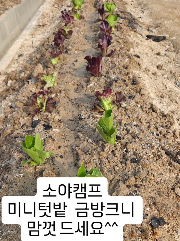 소야캠프 시설 사진 3