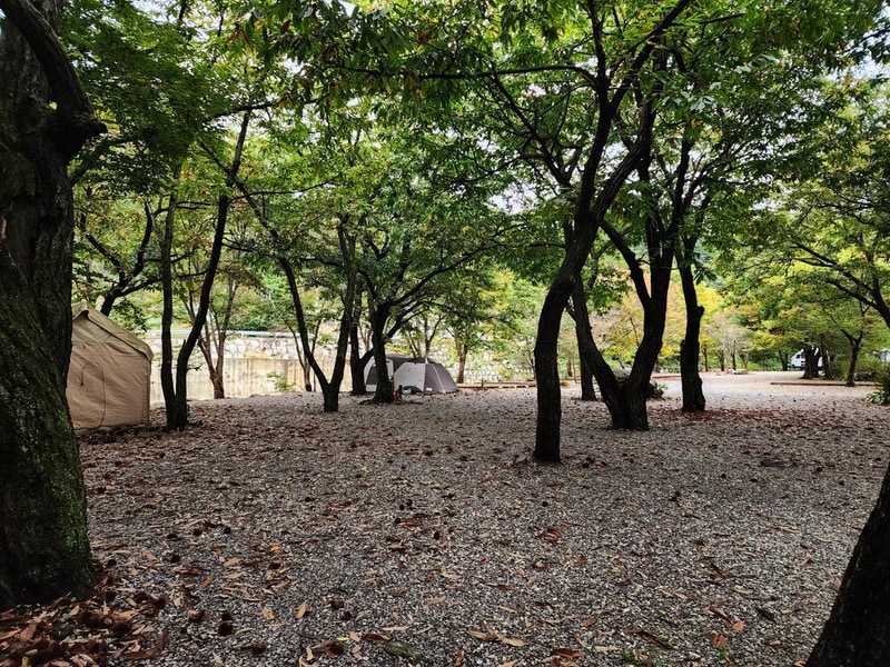 유명산밸리 캠핑장 시설 사진 14