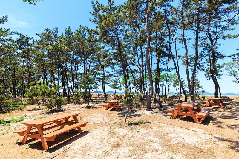 노을길 야영장 시설 사진 13