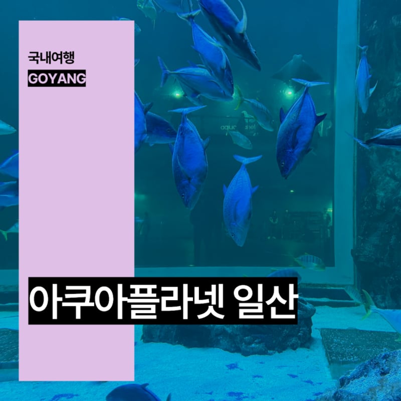 일산호수공원