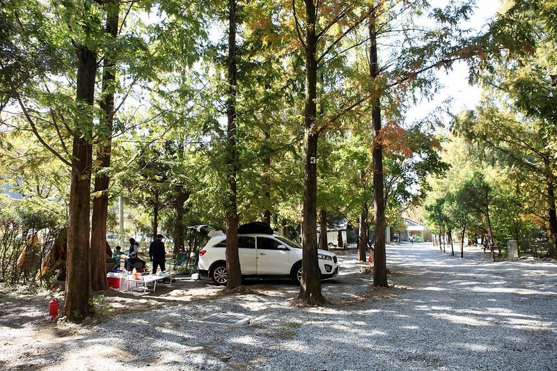 반디캠프 시설 사진 4