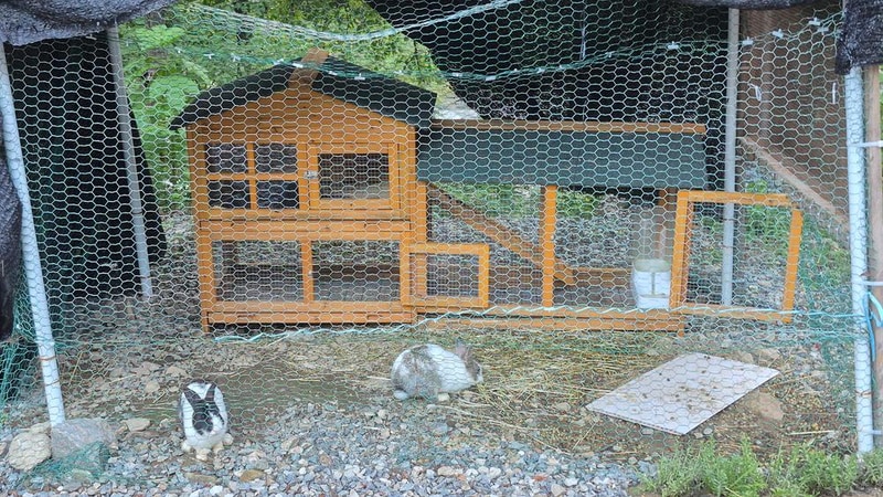 레드우드캠핑장 시설 사진 16