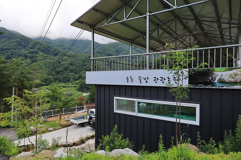 용추솔밭관광농원 시설 사진 8