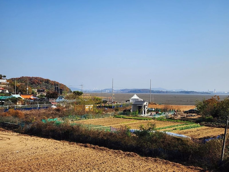 규니네 캠핑 시설 사진 13