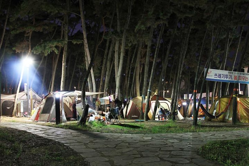 대천해수욕장 야영장 대표 사진