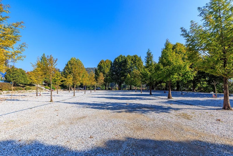 시골학교캠핑장 시설 사진 7