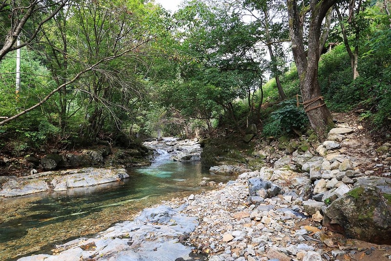 그린필로우 시설 사진 13