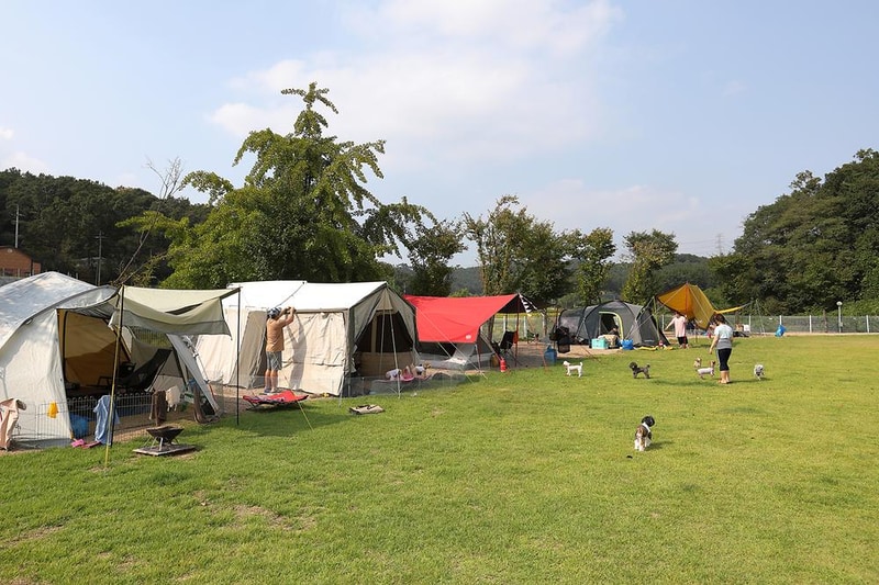 피플앤독 힐링캠핑장 시설 사진 1