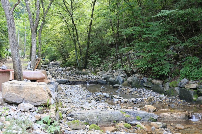 코끼리마을 시설 사진 3