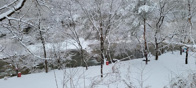요기는캠핑장 시설 사진 7