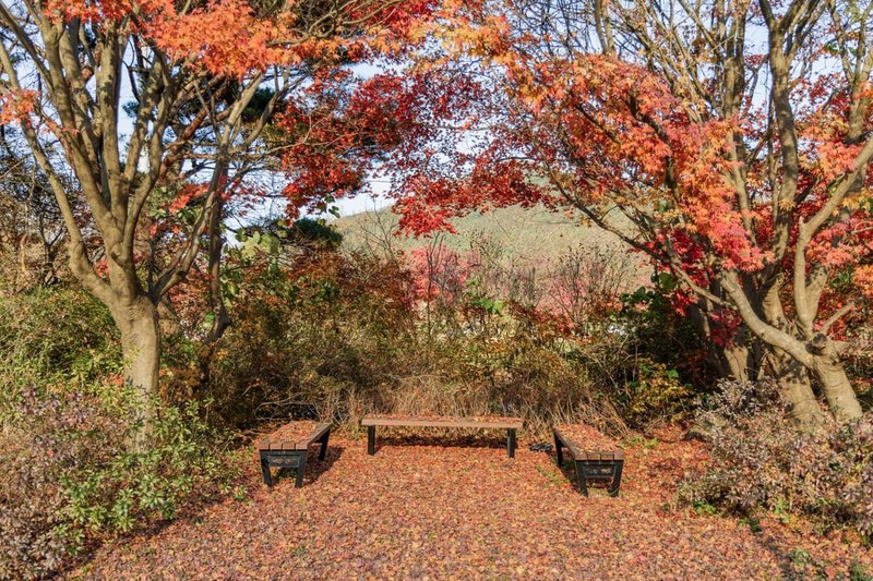 내장산국립공원 내장호야영장 시설 사진 24