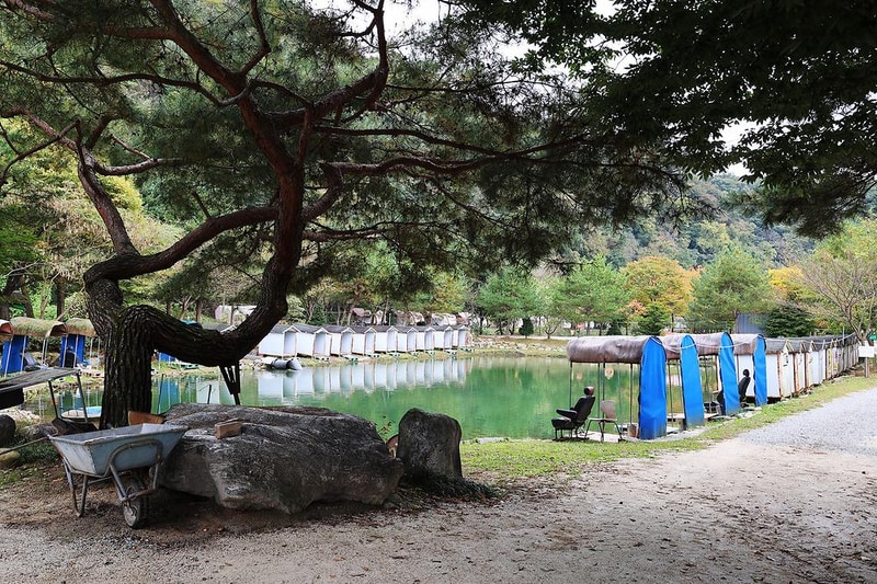 청정 캠핑장 시설 사진 10