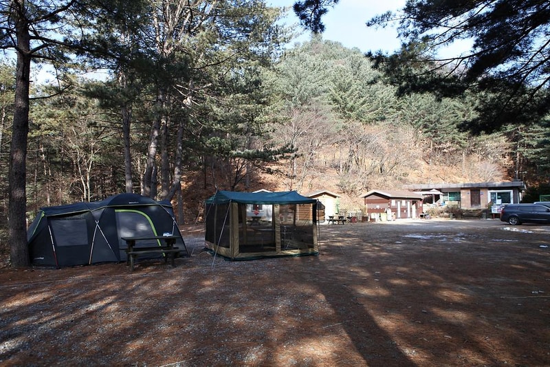 (주)수동자연마을 힐링별밤수목원캠핑장 시설 사진 3